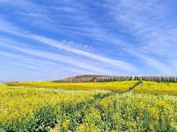 云南石油苹果版下载云南石油app加油优惠安装